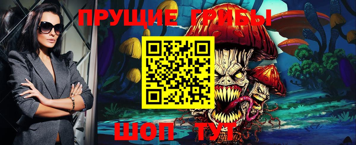 Галлюциногенные грибы Psilocybine cubensis Казань