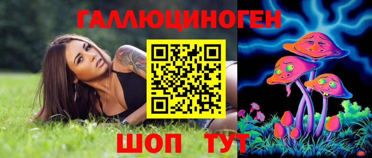 Казань  Галлюциногенные грибы Psilocybe  Вход с VPN 